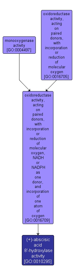 GO:0010295 - (+)-abscisic acid 8'-hydroxylase activity (interactive image map)