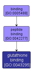GO:0043295 - glutathione binding (interactive image map)