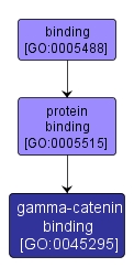 GO:0045295 - gamma-catenin binding (interactive image map)