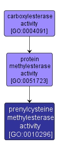 GO:0010296 - prenylcysteine methylesterase activity (interactive image map)