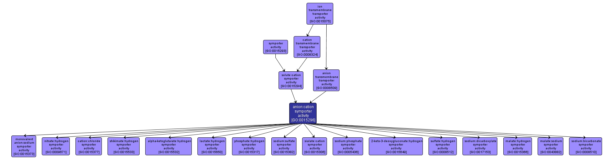 GO:0015296 - anion:cation symporter activity (interactive image map)