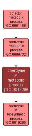 GO:0019296 - coenzyme M metabolic process (interactive image map)
