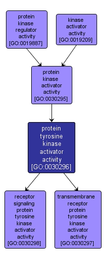 GO:0030296 - protein tyrosine kinase activator activity (interactive image map)