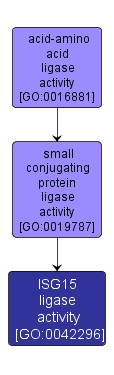 GO:0042296 - ISG15 ligase activity (interactive image map)