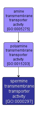 GO:0000297 - spermine transmembrane transporter activity (interactive image map)