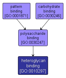 GO:0010297 - heteroglycan binding (interactive image map)