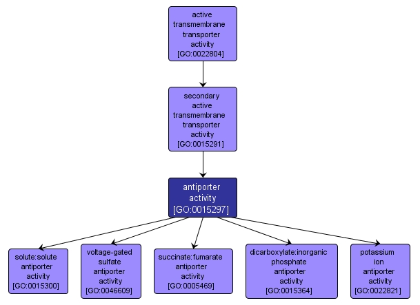 GO:0015297 - antiporter activity (interactive image map)