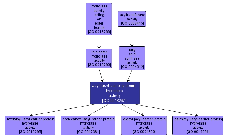 GO:0016297 - acyl-[acyl-carrier-protein] hydrolase activity (interactive image map)