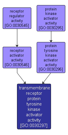 GO:0030297 - transmembrane receptor protein tyrosine kinase activator activity (interactive image map)