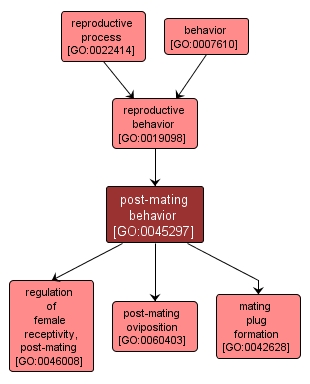 GO:0045297 - post-mating behavior (interactive image map)