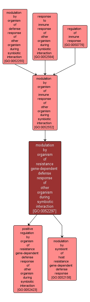 GO:0052297 - modulation by organism of resistance gene-dependent defense response of other organism during symbiotic interaction (interactive image map)