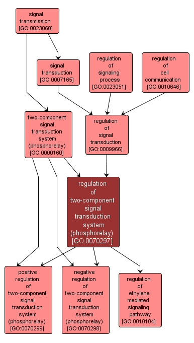 GO:0070297 - regulation of two-component signal transduction system (phosphorelay) (interactive image map)