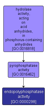 GO:0000298 - endopolyphosphatase activity (interactive image map)