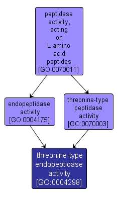 GO:0004298 - threonine-type endopeptidase activity (interactive image map)