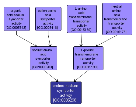 GO:0005298 - proline:sodium symporter activity (interactive image map)