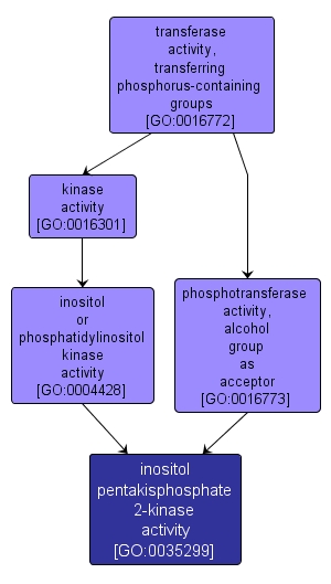 GO:0035299 - inositol pentakisphosphate 2-kinase activity (interactive image map)