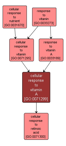 GO:0071299 - cellular response to vitamin A (interactive image map)
