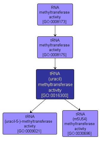 GO:0016300 - tRNA (uracil) methyltransferase activity (interactive image map)