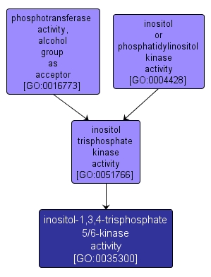 GO:0035300 - inositol-1,3,4-trisphosphate 5/6-kinase activity (interactive image map)