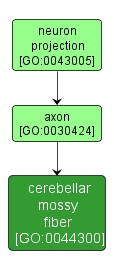 GO:0044300 - cerebellar mossy fiber (interactive image map)