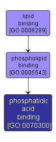 GO:0070300 - phosphatidic acid binding (interactive image map)