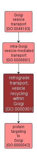 GO:0000301 - retrograde transport, vesicle recycling within Golgi (interactive image map)
