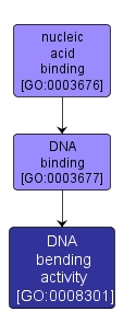 GO:0008301 - DNA bending activity (interactive image map)