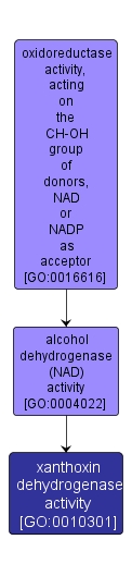 GO:0010301 - xanthoxin dehydrogenase activity (interactive image map)