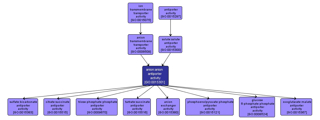 GO:0015301 - anion:anion antiporter activity (interactive image map)