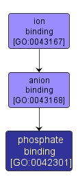 GO:0042301 - phosphate binding (interactive image map)