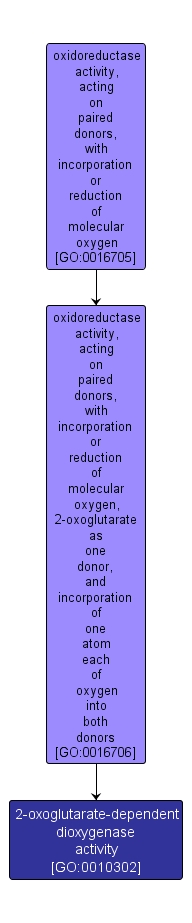 GO:0010302 - 2-oxoglutarate-dependent dioxygenase activity (interactive image map)