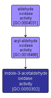 GO:0050302 - indole-3-acetaldehyde oxidase activity (interactive image map)
