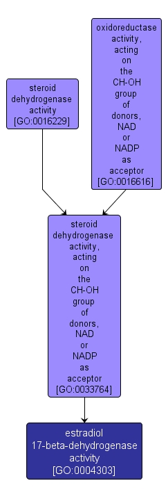 GO:0004303 - estradiol 17-beta-dehydrogenase activity (interactive image map)