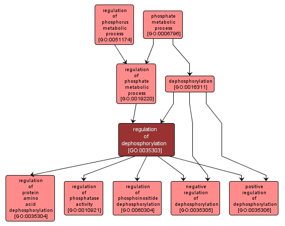 GO:0035303 - regulation of dephosphorylation (interactive image map)