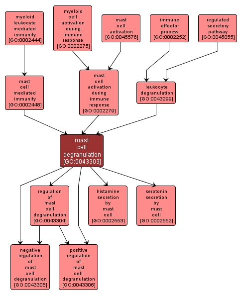 GO:0043303 - mast cell degranulation (interactive image map)