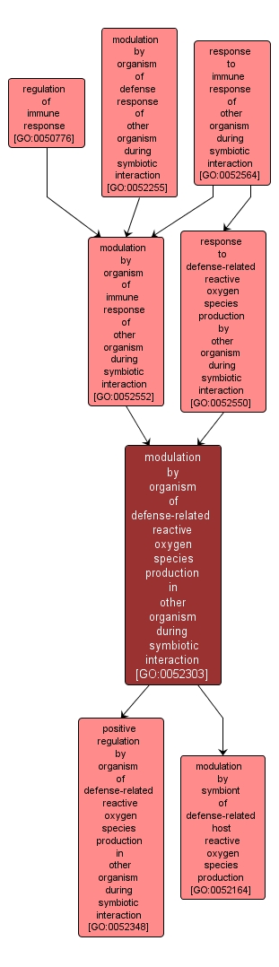 GO:0052303 - modulation by organism of defense-related reactive oxygen species production in other organism during symbiotic interaction (interactive image map)