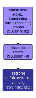 GO:0004304 - estrone sulfotransferase activity (interactive image map)