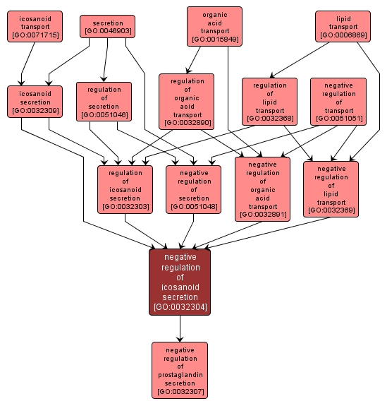 GO:0032304 - negative regulation of icosanoid secretion (interactive image map)