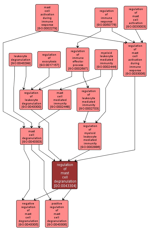 GO:0043304 - regulation of mast cell degranulation (interactive image map)