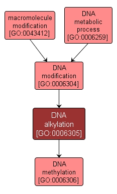 GO:0006305 - DNA alkylation (interactive image map)