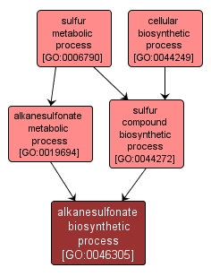 GO:0046305 - alkanesulfonate biosynthetic process (interactive image map)