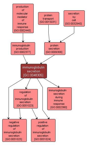 GO:0048305 - immunoglobulin secretion (interactive image map)
