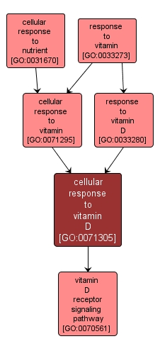 GO:0071305 - cellular response to vitamin D (interactive image map)