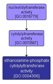 GO:0004306 - ethanolamine-phosphate cytidylyltransferase activity (interactive image map)