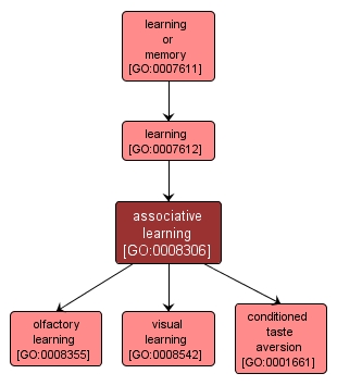 GO:0008306 - associative learning (interactive image map)
