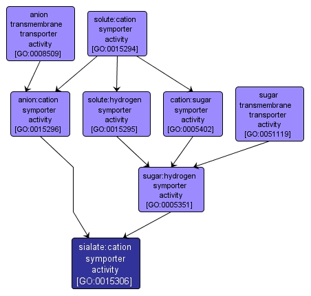 GO:0015306 - sialate:cation symporter activity (interactive image map)