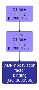 GO:0030306 - ADP-ribosylation factor binding (interactive image map)