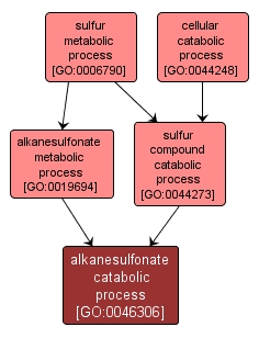 GO:0046306 - alkanesulfonate catabolic process (interactive image map)