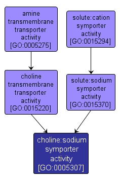 GO:0005307 - choline:sodium symporter activity (interactive image map)
