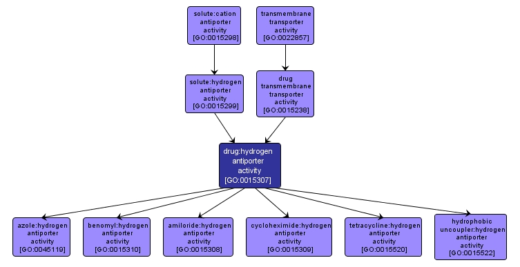 GO:0015307 - drug:hydrogen antiporter activity (interactive image map)
